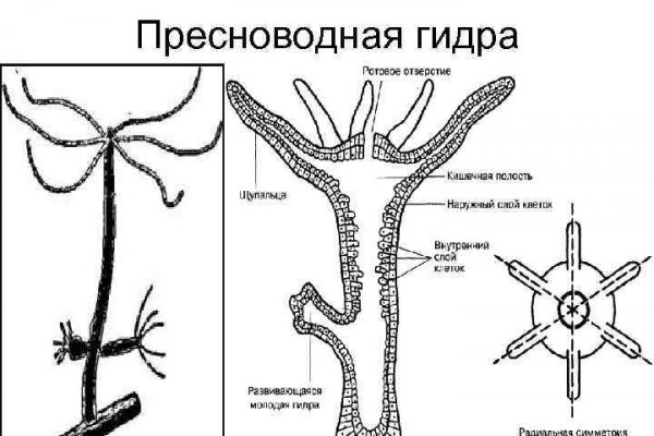 Mega onion зеркало